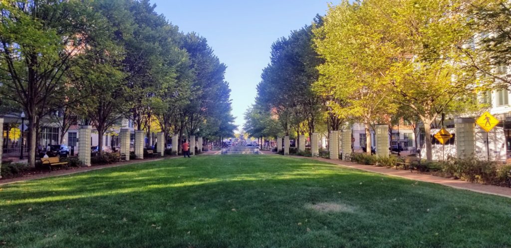 The Unemployment Woes The Unemployment Woes